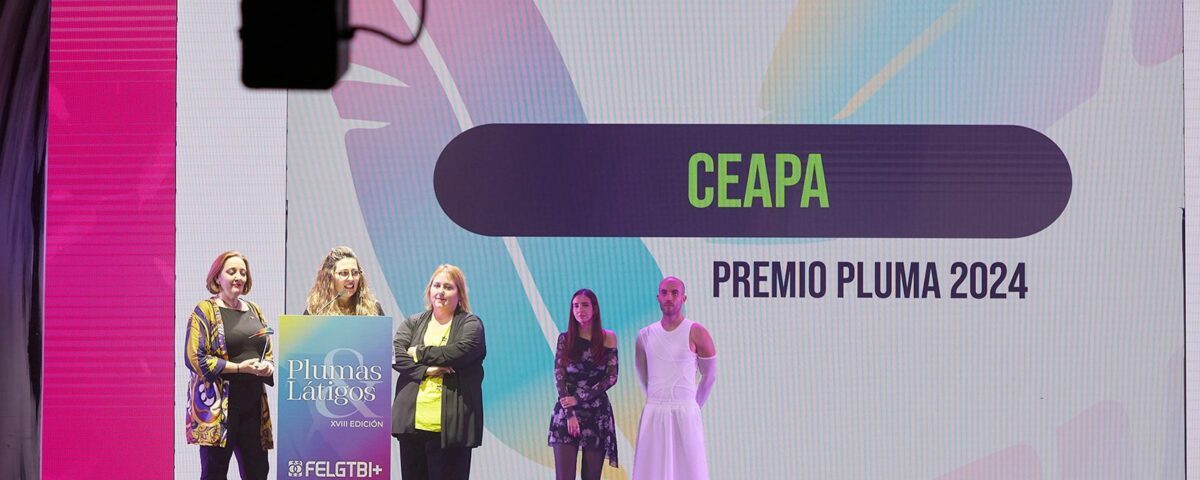 Premios Plumas 2024